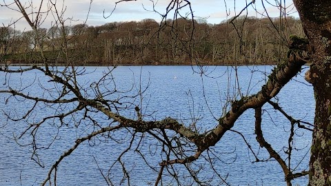 Ballyalla Lake