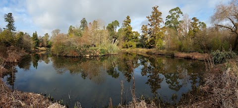 Fota House & Gardens Car Park