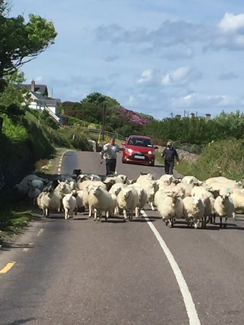 Taxi Tour Ireland