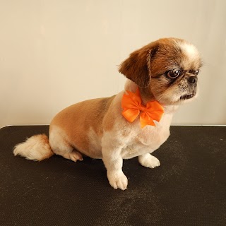 Happy Doggie Grooming Salon