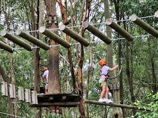 Treetops Adventure Newcastle