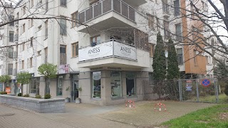 Aness Gabinet Kosmetyczno-Trychologiczny