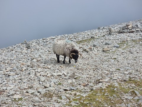 Croagh Patrick Halfway Point