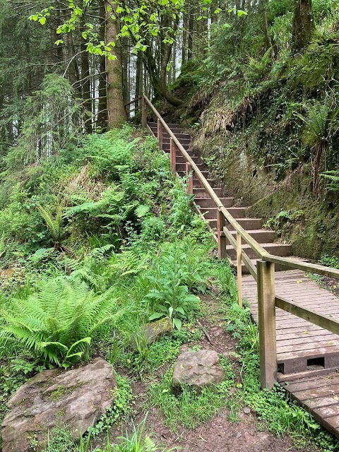 Ballard Waterfall Forest Recreational Area