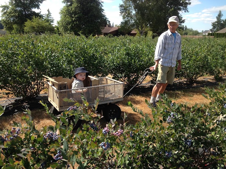 Blue Dot Farm, Enumclaw, WA