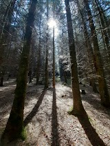 Liskennett Forest Car Park