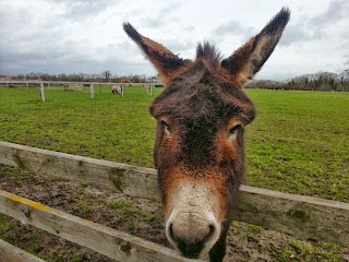 Rancho Reilly Pet Farm