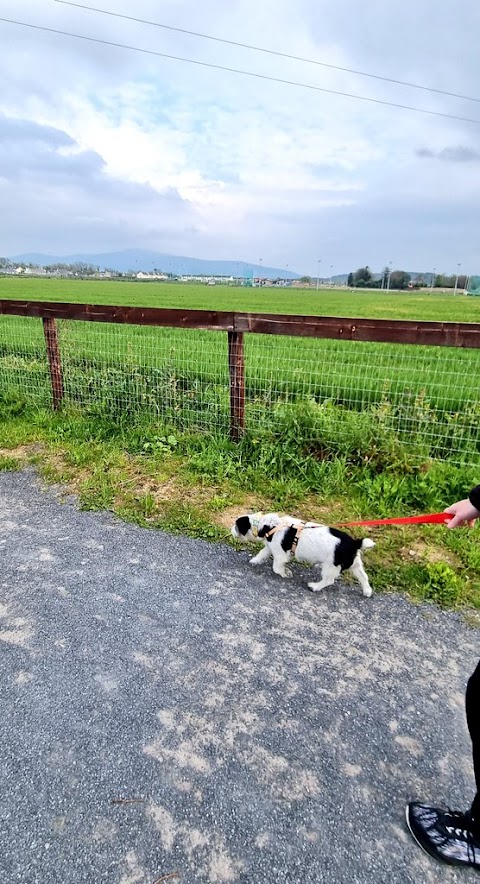 Fethard Town Park