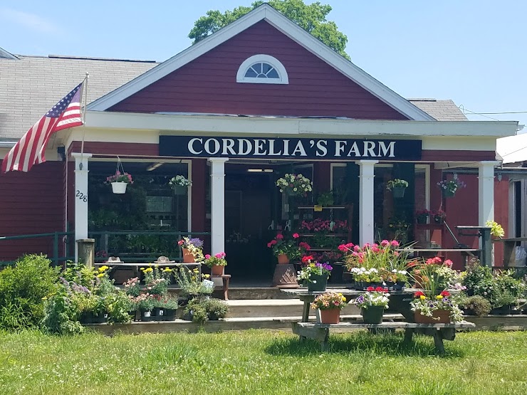 Cordelia's Farm, Berlin, MA