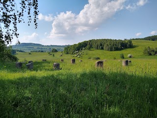 Kamienny krąg w Radzimowicach