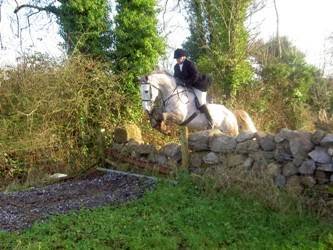 Flowerhill Equestrian Centre