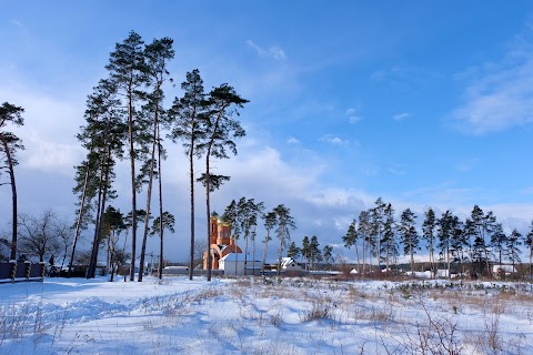 Ozerne Forest