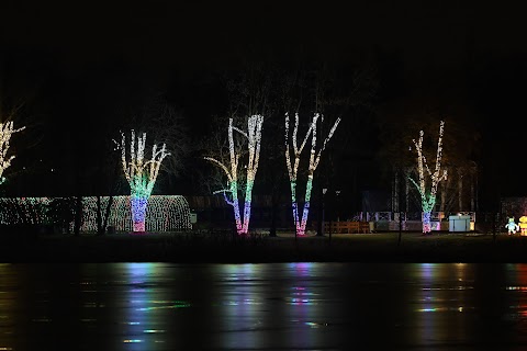 Magiczny Ogród Świateł Christmas Garden Chorzów