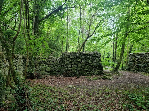 Merlin Park Woods