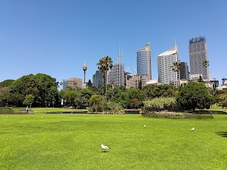 Royal Botanic Garden Sydney