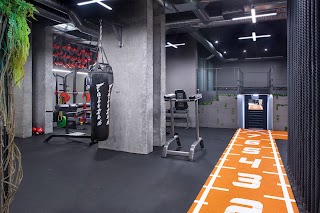 JungleGym