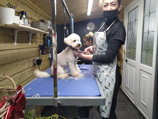 Professional dog grooming by Kamila