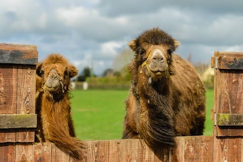 Kildare Farm Foods, Open Farm & Shop