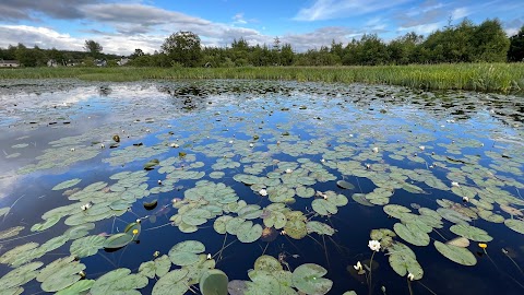 Acres Lake Floating Boardwalk