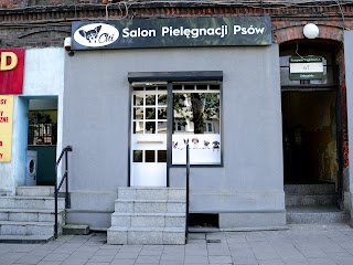 Salon Pielęgnacji Psów Chi - Psi fryzjer