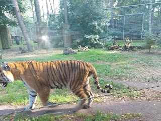 Ogród Zoologiczny w Bydgoszczy