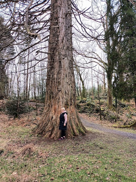 Glengarra Wood Forest Recreational Area
