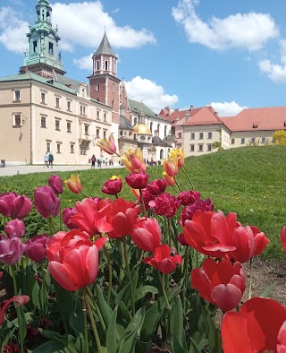 Przewodnik po Krakowie - Magdalena Cupryś - zwiedzanie Krakowa