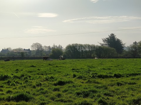 The Old Thatched Cottage