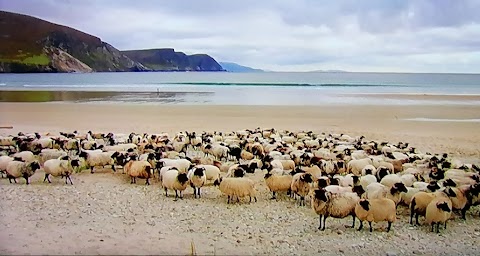 Calveys Butchers Achill