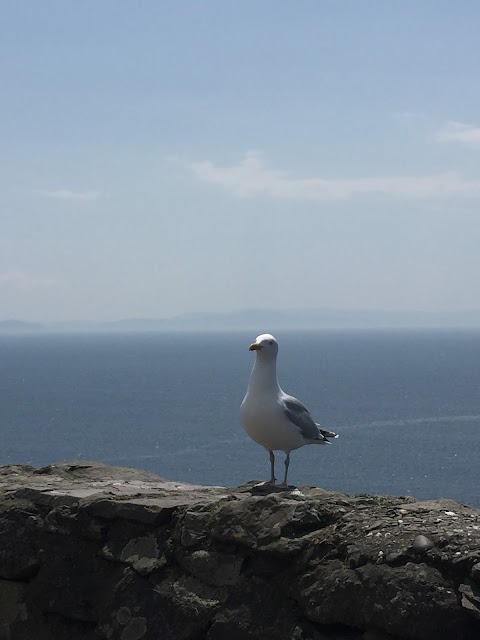 Taxi Tour Ireland