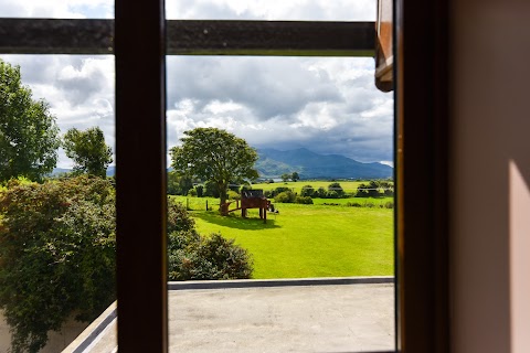 Paudie and Anne's B & B plus Paudie's Private Tours