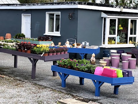 Sliabh Luchra GArden Centre