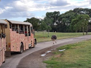 Werribee Zoo Bus Loop/Main Dr