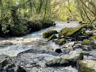 Clare Glens Waterfall