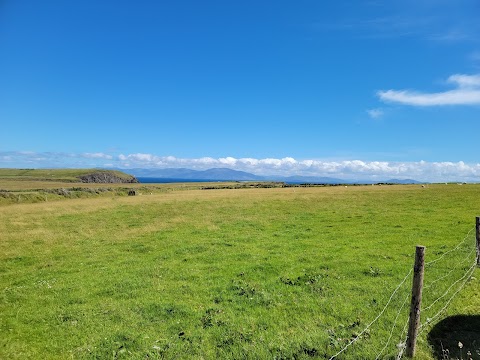 Lios Stone Circle & Animal Feeding