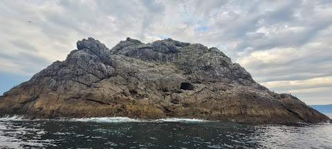 Fenit Sea Safari