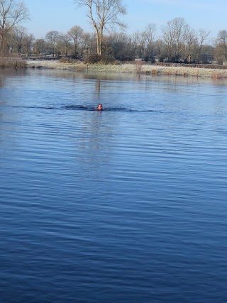 Shannon Rowing Club Annacotty