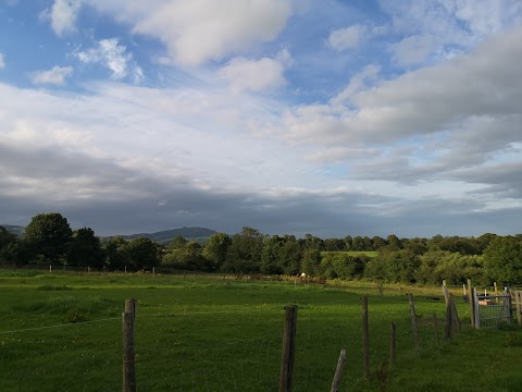 Fairy Fort Farm