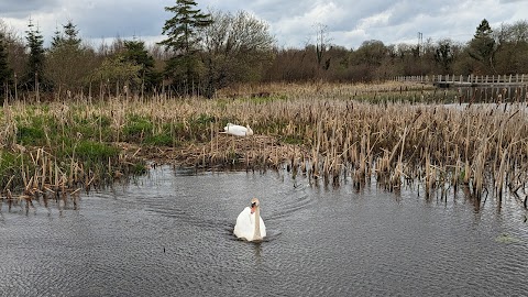 Acres Lake Floating Boardwalk