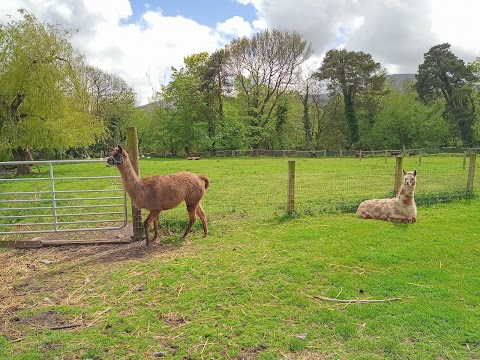 Parsons Green Caravan & Camping Park