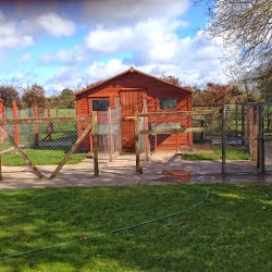 Ballyorban Boarding Kennels