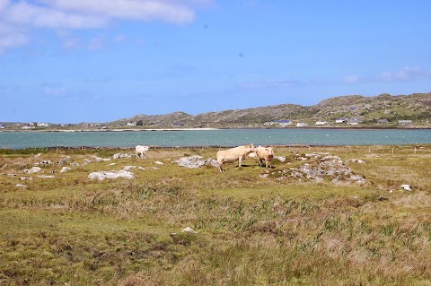 Connemara Country Lodge