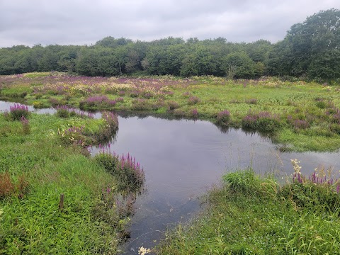 Burren Nature Sanctuary & Cafe