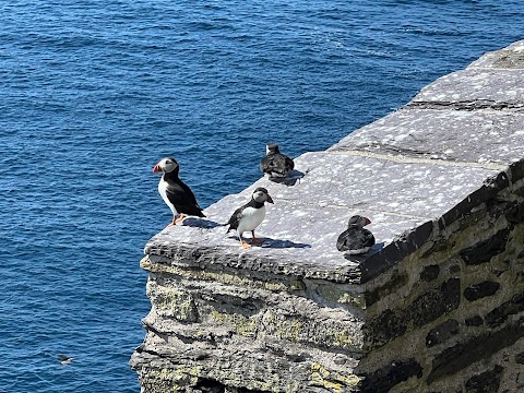 Skellig Coast Adventures