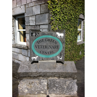 Green Veterinary Centre