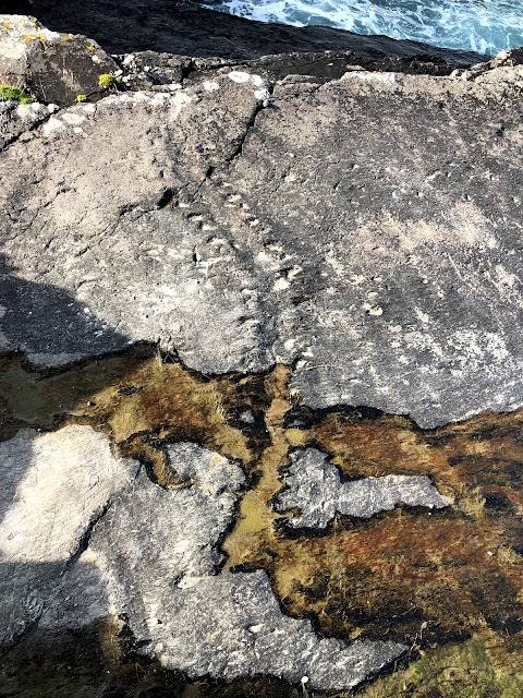 The Valentia Island Tetrapod Footprints