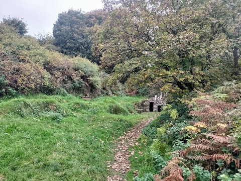 St. Declan's Well and Church (Ruins)