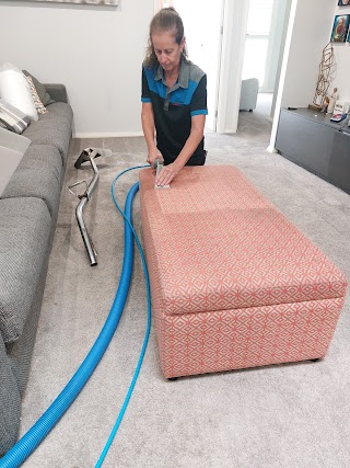 Affordable carpet cleaning