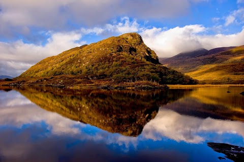 The Irish Tourism Group