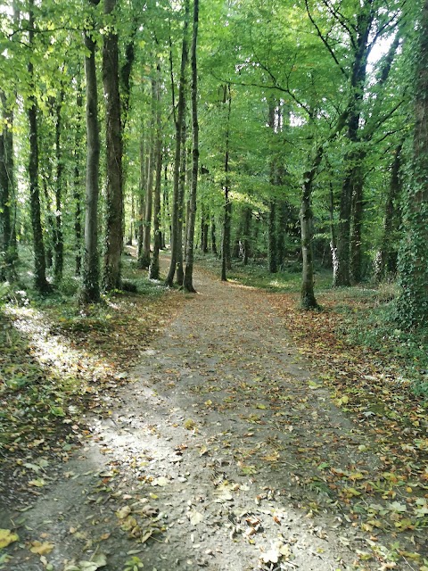 Doneraile Wildlife Park